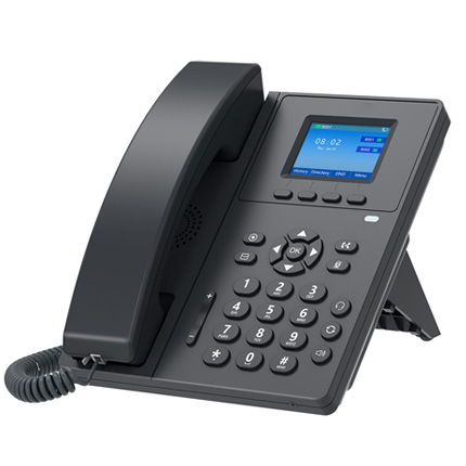 V110 & V110E 100M、color screen ip phone